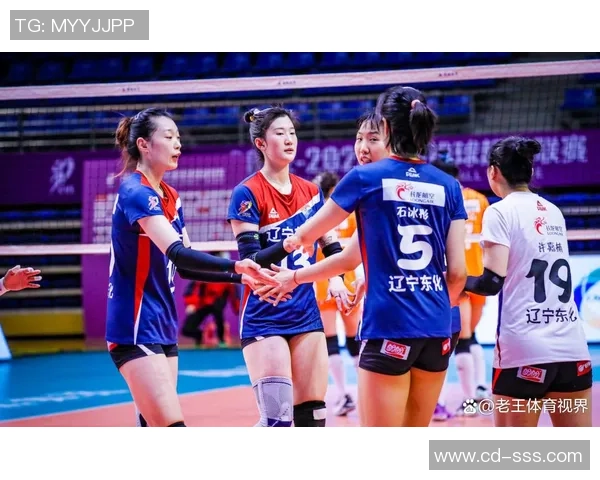 深圳排球队灵活性分析与表现评估的深度研究与探讨