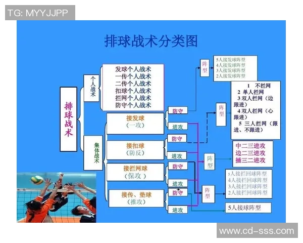 西安排球队战术分析：为何他们在排球战术排行榜中高居第二名
