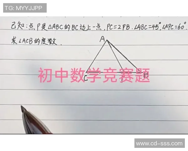 西安羽毛球队心理素质深度对比分析与竞技表现的关系探讨