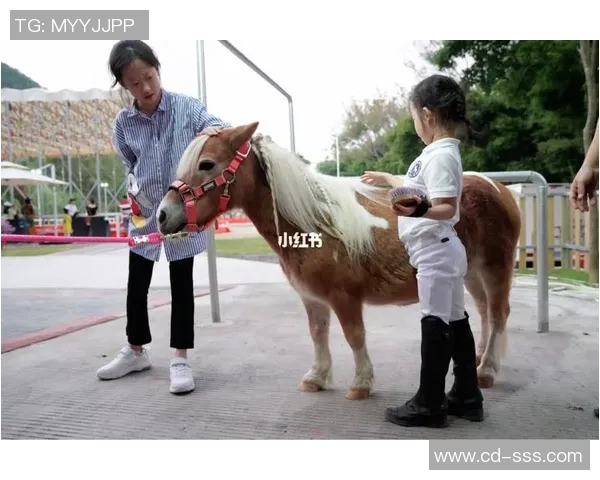 足球明星矮脚马的魅力与风采揭秘及其在球场上的独特表现