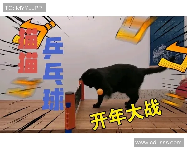 从零开始:乒乓球实力完全攻略_1 从零开始:乒乓球实力完全攻略_1