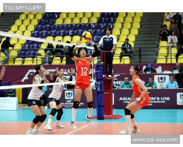 排球焦点：武汉排球队的配合探讨