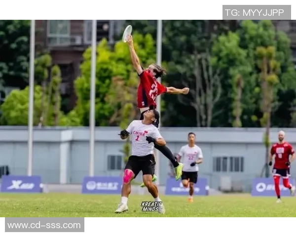 独家分析：杭州飞盘队的耐力对比